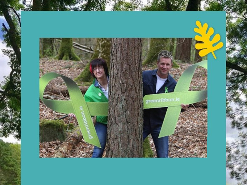 Forest Walk 2019